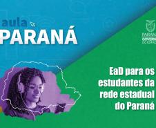 EaD para estudantes da Rede Estadual
